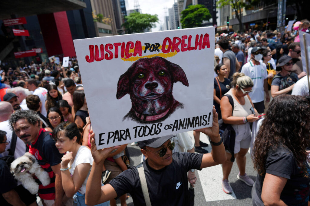 1º.fev.26/Reuters