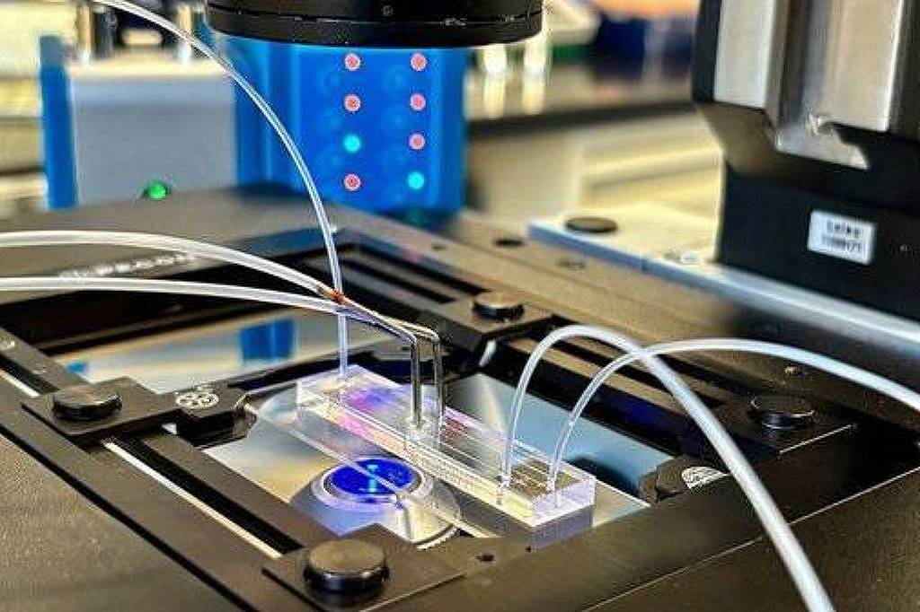 Columbia University Fertility Center via BBC