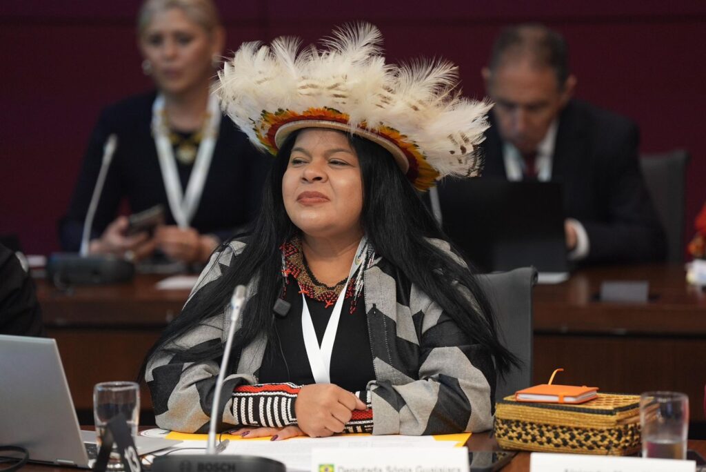 um parlamento cada vez mais indígena. Porque a gente acompanhava ali as votações
