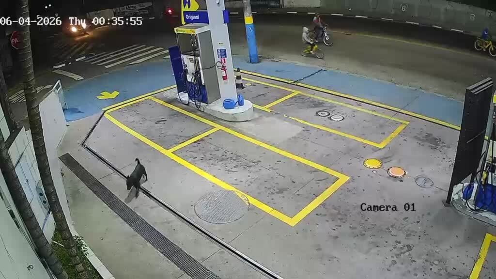 Vídeo mostra momento em que policiais abordam carro em posto e libertam refém