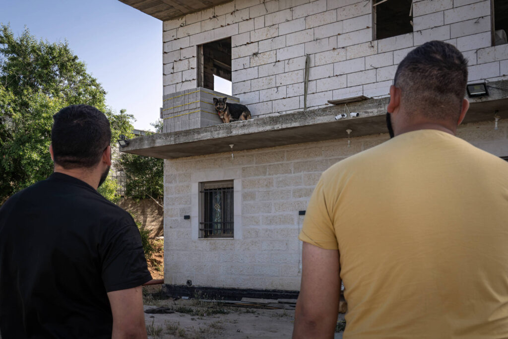 Ataque brutal a cadela na Cisjordânia expõe rotina de violência e impunidade