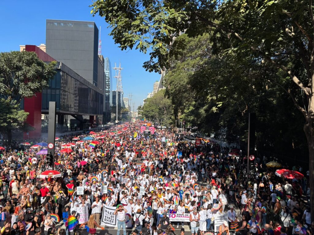 Participante da Parada do Orgulho LGBT+ de SP