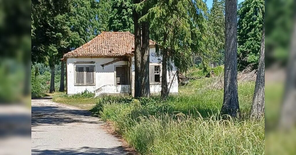 Madrasta é presa em Portugal após morte de enteada de 8 anos; vingança seria o motivo