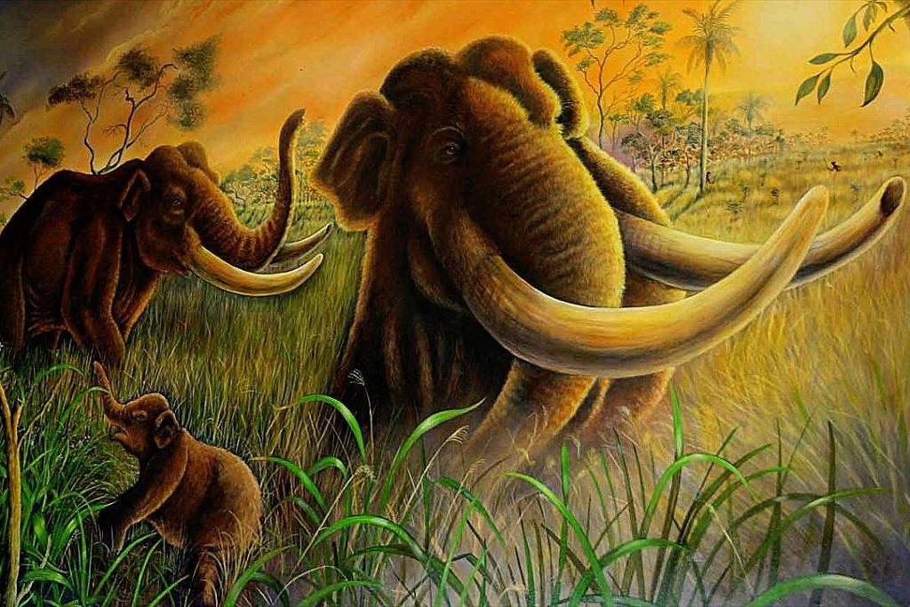 Megafauna extinta: pesquisa da USP desmistifica substituição por herbívoros domésticos