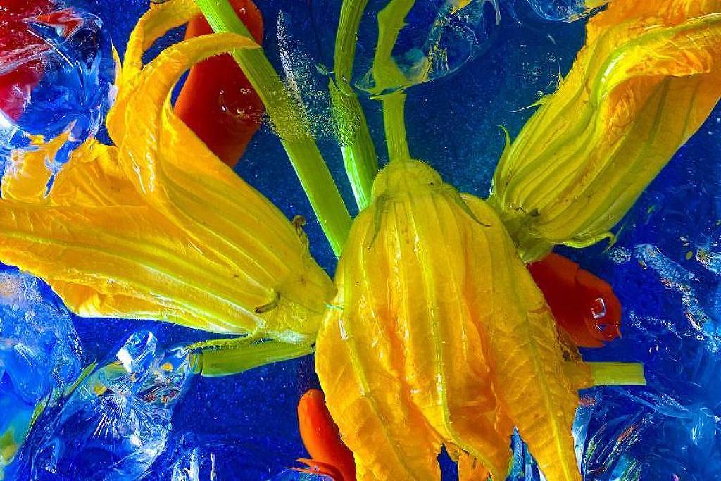 Flores comestíveis: descubra os sabores e benefícios que florescem no seu jardim