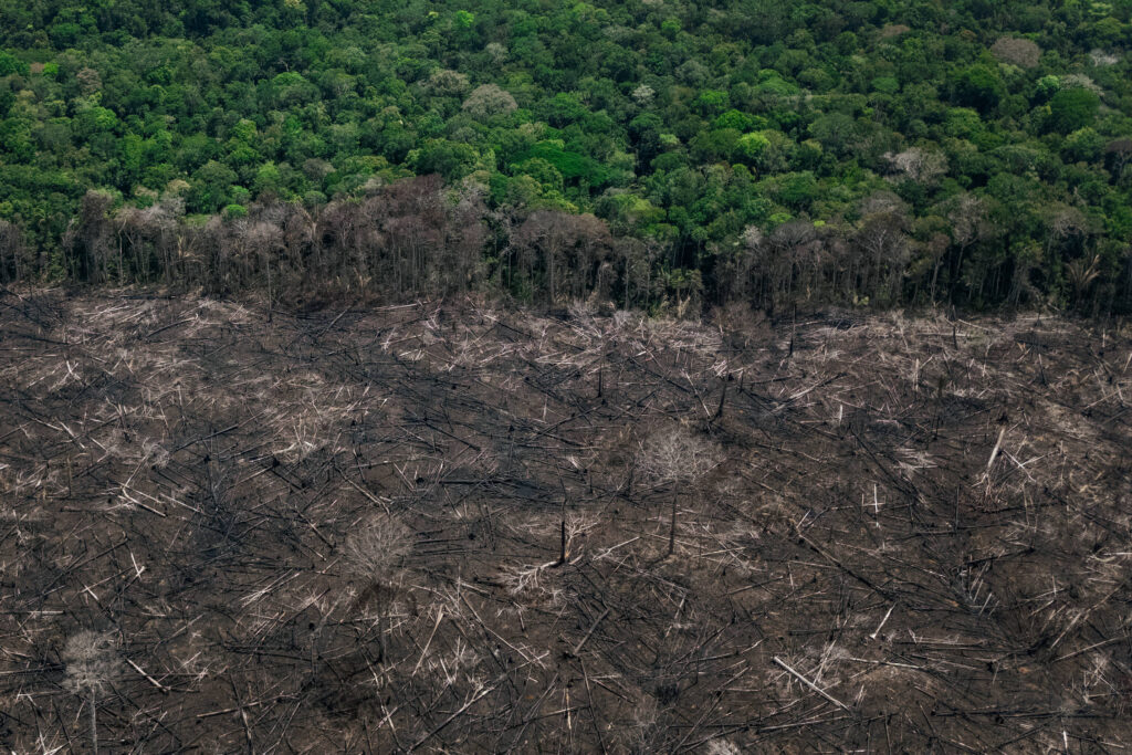 reportagem da Folha sobre estradas na Amazônia