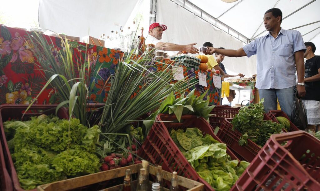 Governo prorroga até 2027 prazo para autônomos e produtores rurais obterem CNPJ