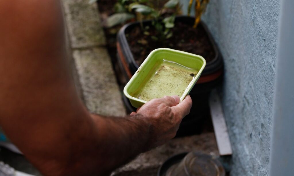 Risco de dengue e chikungunya cresce no Brasil com a chegada do El Niño