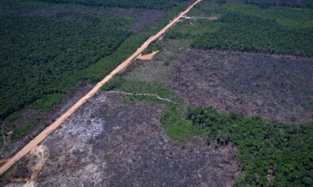 Ministério da Fazenda detalha regras para o quinto leilão do Eco Invest Brasil