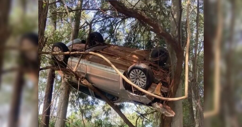 Acidente chocante na Pr-542: carro capota e para em árvore no Norte do Paraná