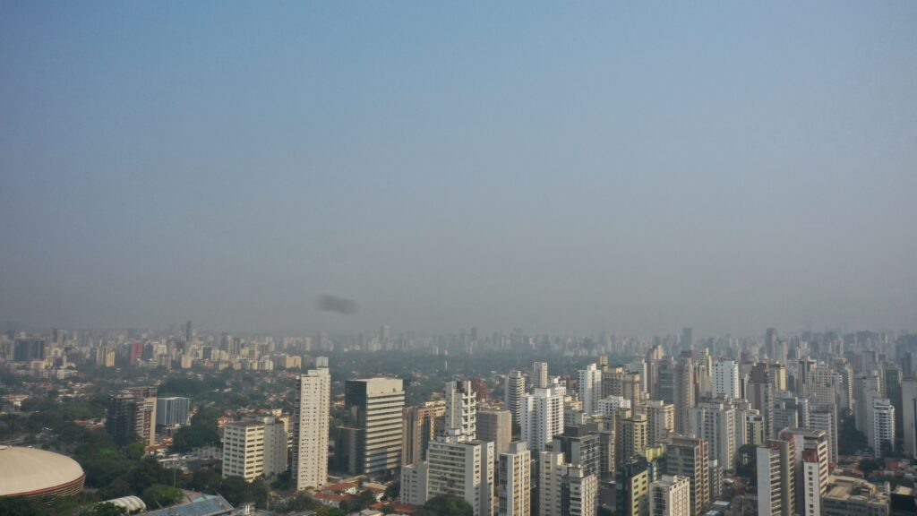 Mudanças climáticas em SP: o papel do próximo governo no enfrentamento da crise ambiental