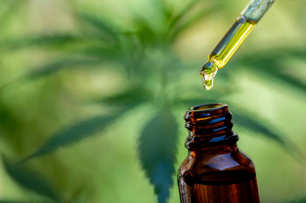 Cannabis medicinal: o desafio do acesso em favelas e a luta por tratamento igualitário