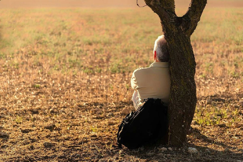 Cuidado na velhice: o dilema de quem opta por não ter filhos e os novos arranjos sociais
