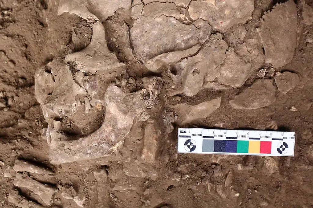Descoberta arqueológica revela uso de estimulantes há 25 mil anos na Indonésia