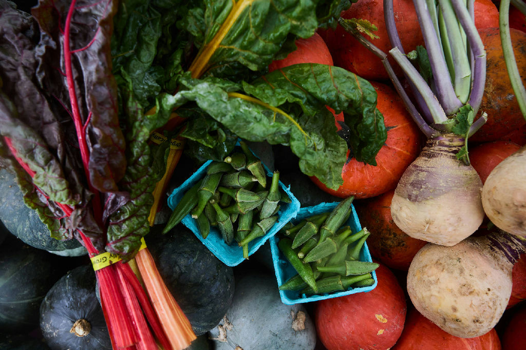 Dez frutas e hortaliças queridinhas dos nutricionistas para uma vida mais saudável