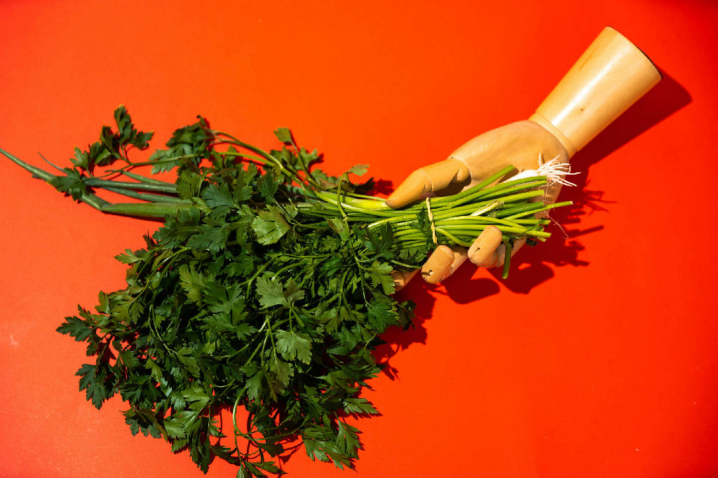 Vitamina K ganha destaque em estudo sobre saúde pulmonar e prevenção de doenças