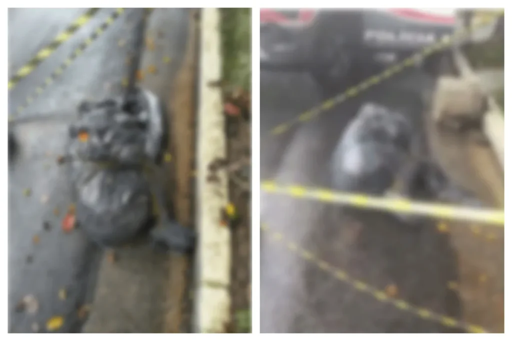 Autoridades descartam serial killer em SP após onda de boatos sobre corpos encontrados