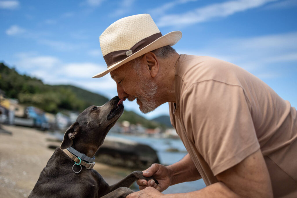 Convivência com pets transforma rotina e estimula vida social na terceira idade