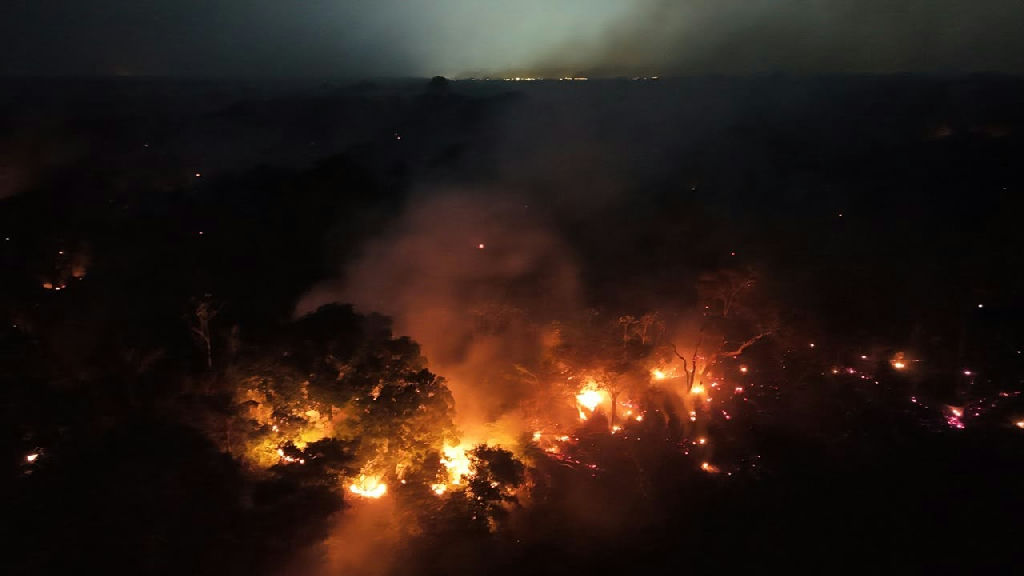 Força-tarefa de São Paulo parte para o Amazonas no combate a incêndios florestais