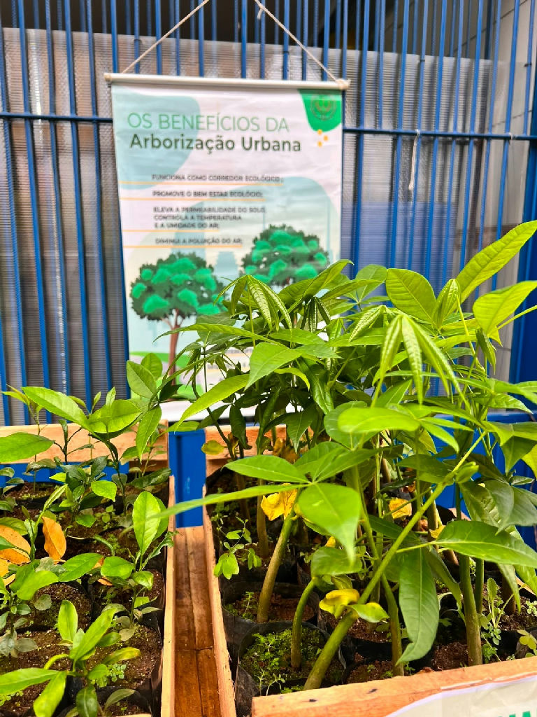Guarulhos reforça arborização urbana com distribuição de 400 mudas nativas na Vila Galvão