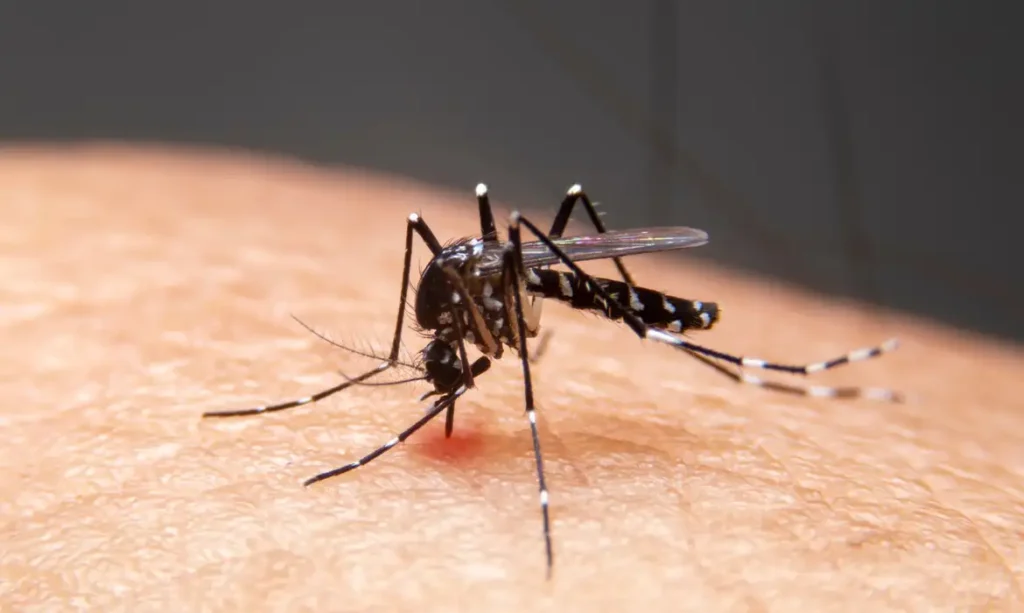 Impacto das mudanças climáticas no avanço de doenças infecciosas no Brasil