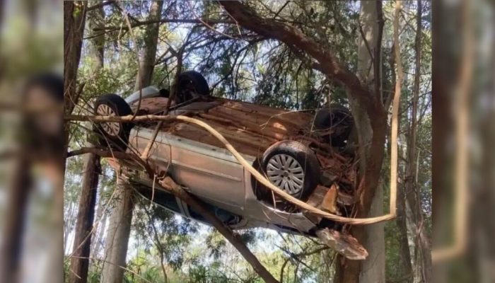 Acidente chocante na Pr-542: carro capota e para em árvore no Norte do Paraná