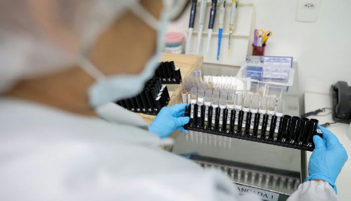 Anvisa dá sinal verde para testes em humanos de vacina brasileira contra malária