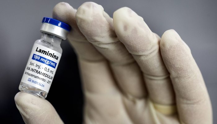 Anvisa limita uso de polilaminina em lesões e responde a críticas da UFRJ