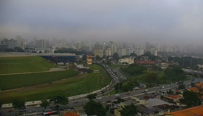 Apreensão e protestos de moradores marcam corte de árvores no entorno do aeroporto de congonhas