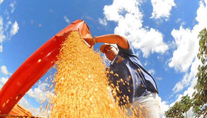 Atividade econômica brasileira recua 0,6% em junho, indica Banco Central