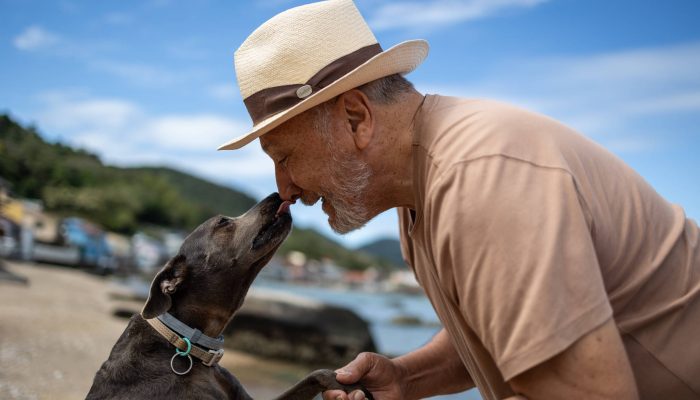 Convivência com pets transforma rotina e estimula vida social na terceira idade