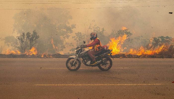Cortina de fumaça e crise ambiental revelam o futuro em chamas no amazonas
