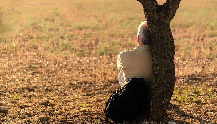 Cuidado na velhice: o dilema de quem opta por não ter filhos e os novos arranjos sociais
