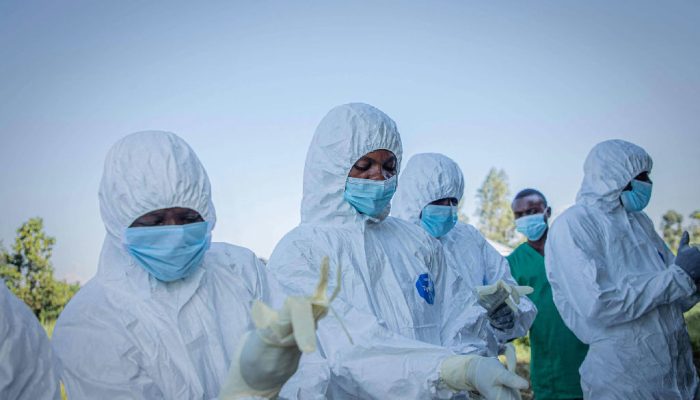 Empresa egípcia avança no desenvolvimento de vacina contra o vírus ebola