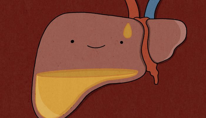 Esteatose hepática: entenda o que é gordura no fígado e como identificar os riscos