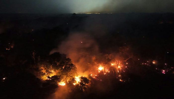 Força-tarefa de São Paulo parte para o Amazonas no combate a incêndios florestais