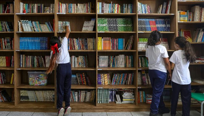 Fundo de R$ 600 mil impulsiona projetos para acelerar igualdade de gênero entre meninas no Brasil