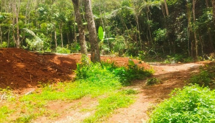 Guarda municipal flagra supressão de vegetação e obra irregular no parque estadual itaberaba