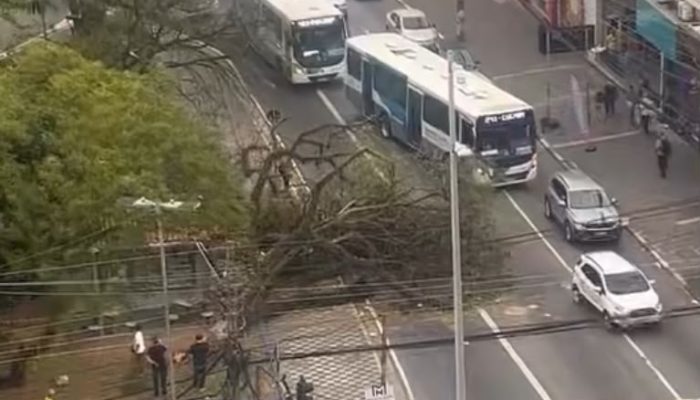 Guarulhos enfrenta caos com ventania que paralisa aeroporto e causa estragos urbanos