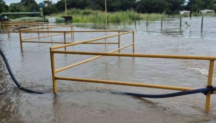 Calamidade Paraíba: chuvas recordes levam governo a decretar situação de emergência