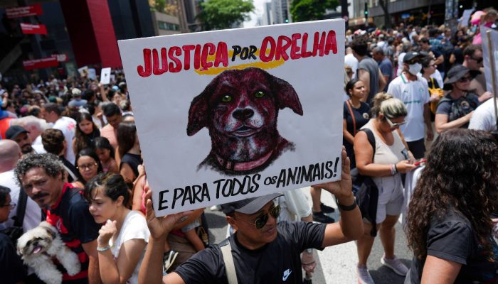 1º.fev.26/Reuters