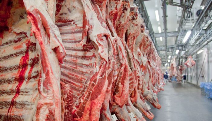 tar produtos de origem animal destinados ao consumo humano para o bloco europeu