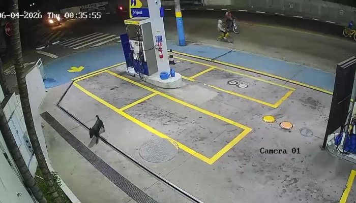 Vídeo mostra momento em que policiais abordam carro em posto e libertam refém
