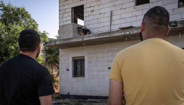 Ataque brutal a cadela na Cisjordânia expõe rotina de violência e impunidade