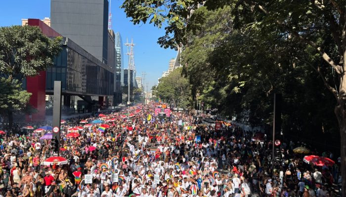 Participante da Parada do Orgulho LGBT+ de SP