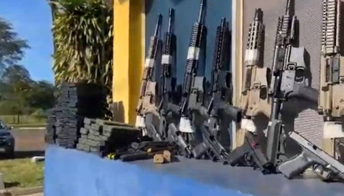 Mega apreensão: PRF intercepta 26 fuzis e 16 pistolas em carga de ração animal