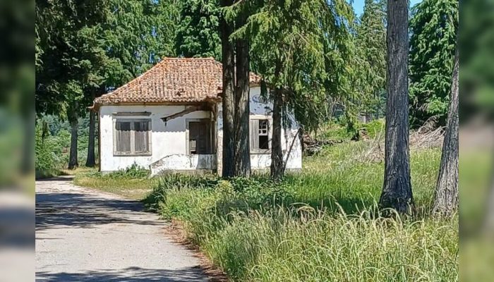 Madrasta é presa em Portugal após morte de enteada de 8 anos; vingança seria o motivo