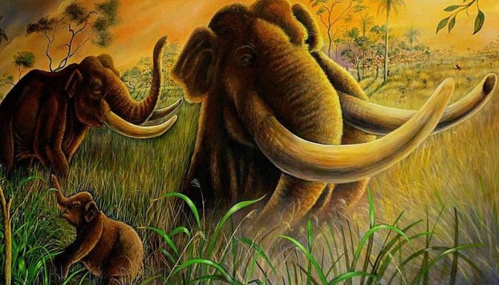 Megafauna extinta: pesquisa da USP desmistifica substituição por herbívoros domésticos