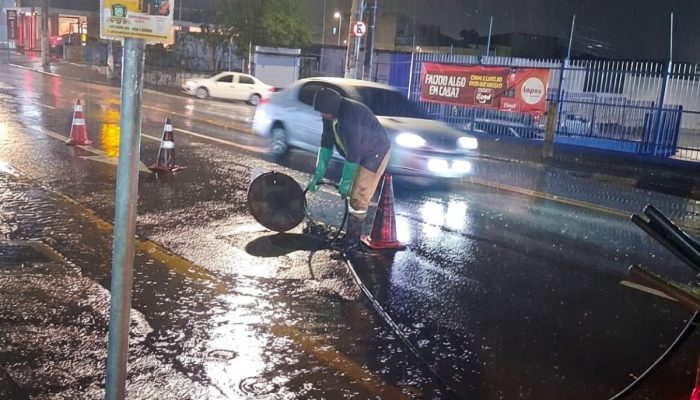 Divulgação