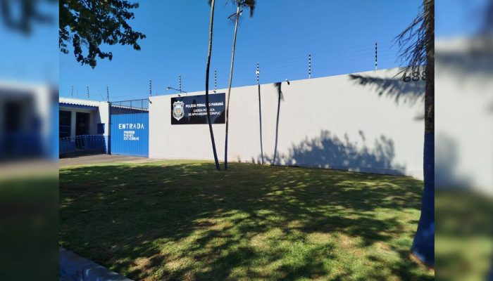 Apucarana: Homem é detido por suspeita de furto de veículos do Governo do Estado